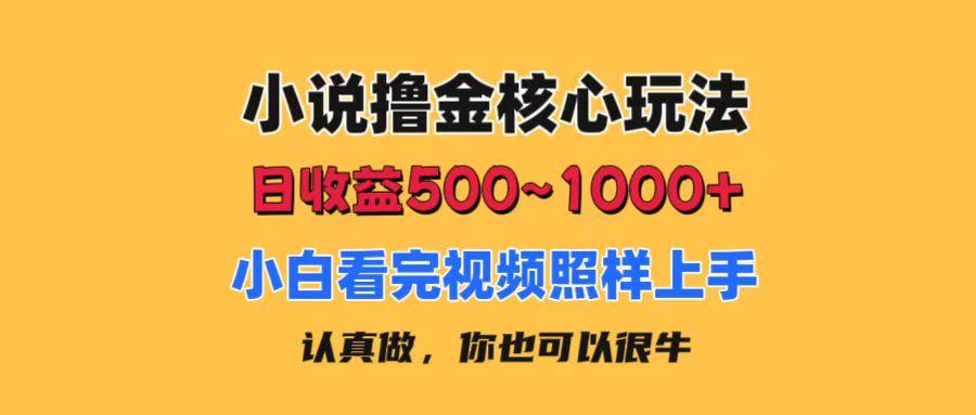 小说撸金核心玩法，日收益500-1000+，小白看完照样上手，0成本有手就行-泱泱学习社