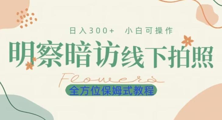 明拍暗拍项目0成本投入日入300+小白可操作保姆式全方位教程-泱泱学习社