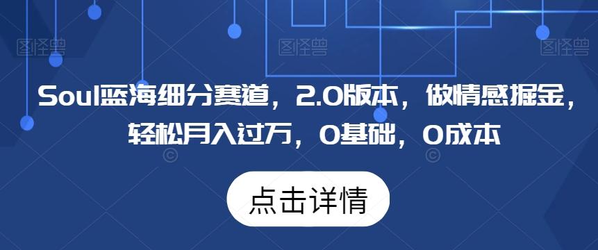Soul蓝海细分赛道，2.0版本，做情感掘金，轻松月入过万，0基础，0成本-泱泱学习社