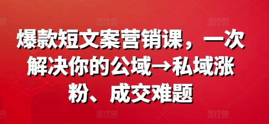 爆款短文案营销课，一次解决你的公域→私域涨粉、成交难题-泱泱学习社