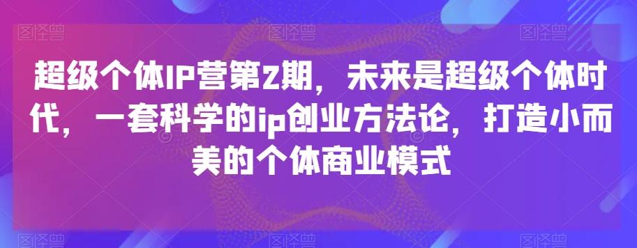 超级个体IP营第2期，未来是超级个体时代，一套科学的ip创业方法论，打造小而美的个体商业模式-泱泱学习社