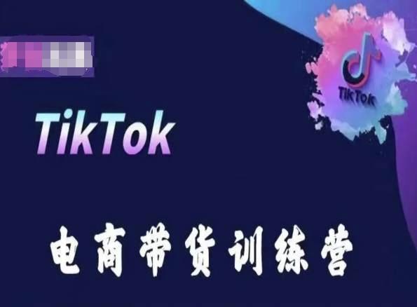 TikTok电商带货训练营，跟随时代潮流，跨境掘金-泱泱学习社