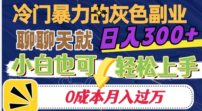 冷门暴利的副业项目，聊聊天就能日入300+，0成本月入过万【揭秘】-泱泱学习社