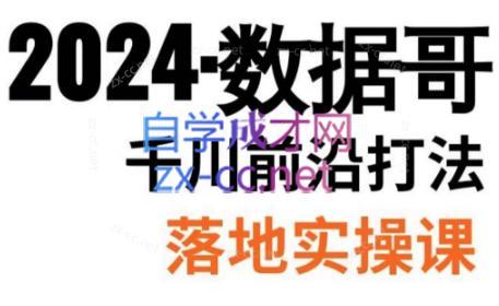 数据哥·2024年千川前沿打法落地实操课-泱泱学习社