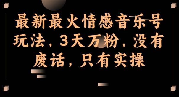 最新最火情感音乐号玩法，3天万粉，没有废话，只有实操-泱泱学习社