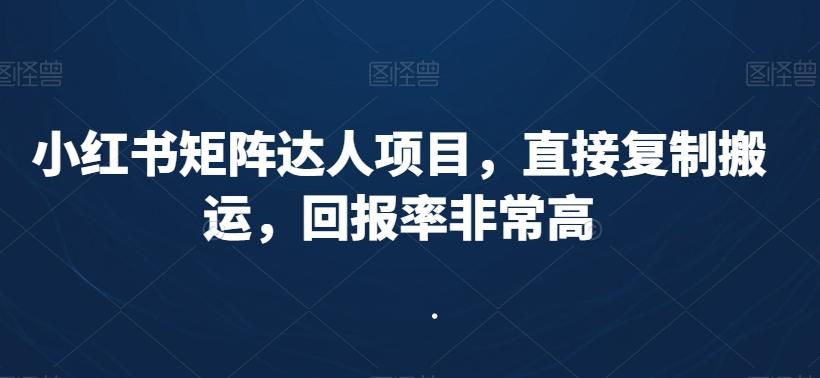 小红书矩阵达人项目，直接复制搬运，回报率非常高-泱泱学习社