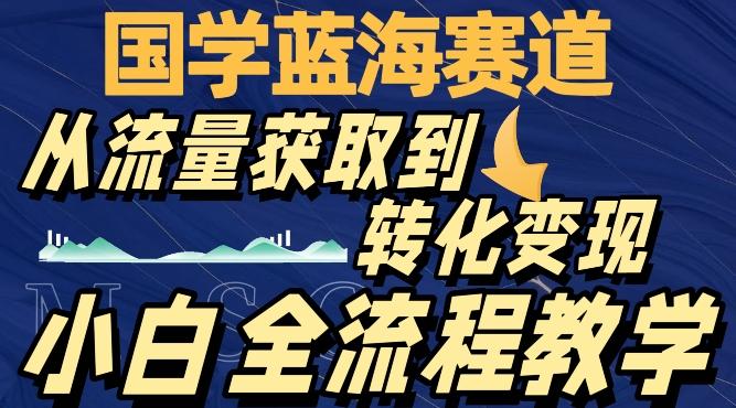 国学蓝海赛道，从流量获取，到转化变现，全流程教学-泱泱学习社