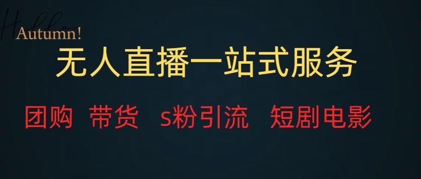无人直播一站式服务（教程以及变现方式）-泱泱学习社