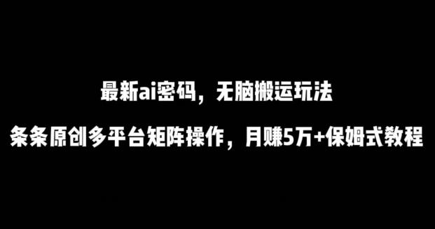 最新ai流量密码，傻瓜式搬运玩法，条条原创，多平台矩阵操作，月赚5万+保姆式教程【揭秘】-泱泱学习社