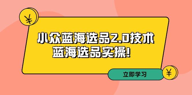 拼多多培训第33期：小众蓝海选品2.0技术-蓝海选品实操！-泱泱学习社