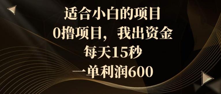 适合小白的项目，0撸项目，我出资金，每天15秒，一单利润600-泱泱学习社