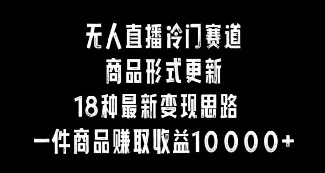 无人直播冷门赛道，商品形式更新，18种变现思路，一件商品赚取收益10000+【揭秘】-泱泱学习社