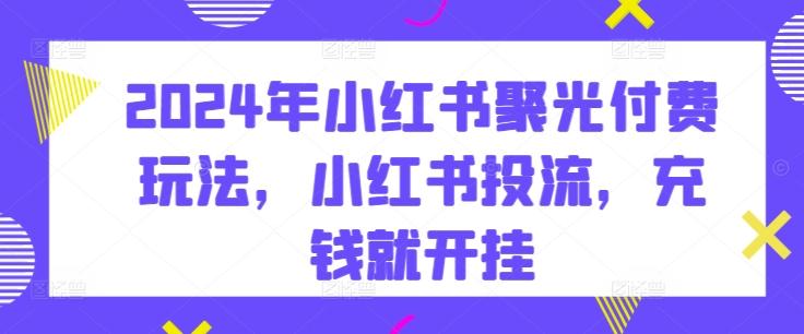 2024年小红书聚光付费玩法，小红书投流，充钱就开挂-泱泱学习社