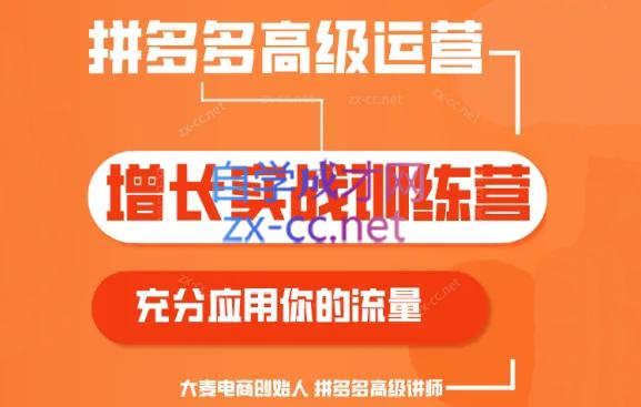 大麦老师·拼多多单品爆款打造课程(更新6月)-泱泱学习社