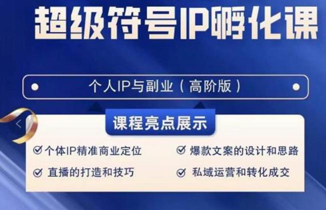 超级符号IP孵化高阶课，建立流量思维底层逻辑，打造属于自己IP（51节课）-泱泱学习社