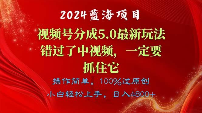 2024蓝海项目，视频号分成计划5.0最新玩法，错过了中视频，一定要抓住…-泱泱学习社
