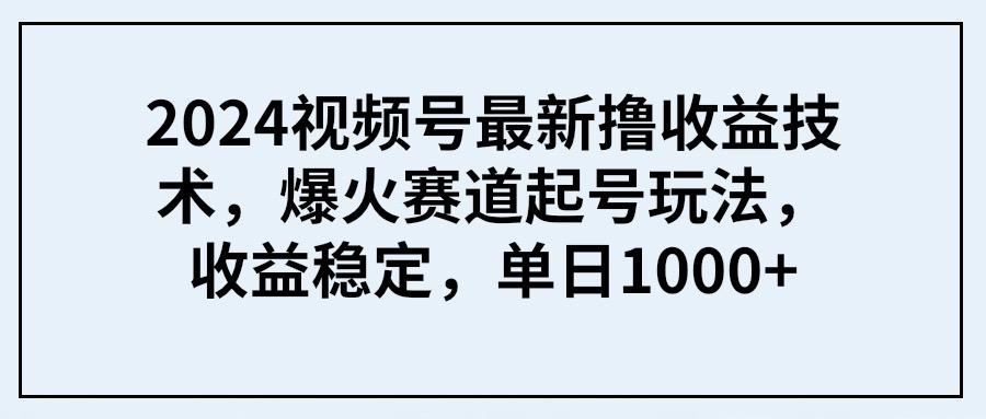 (9651期) 2024视频号最新撸收益技术，爆火赛道起号玩法，收益稳定，单日1000+-泱泱学习社