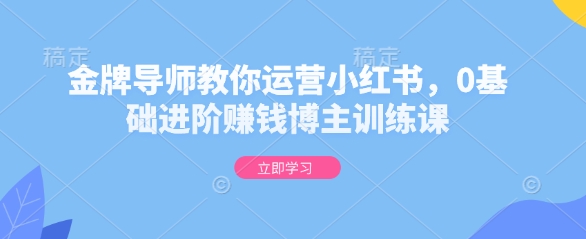 金牌导师教你运营小红书，0基础进阶赚钱博主训练课-泱泱学习社