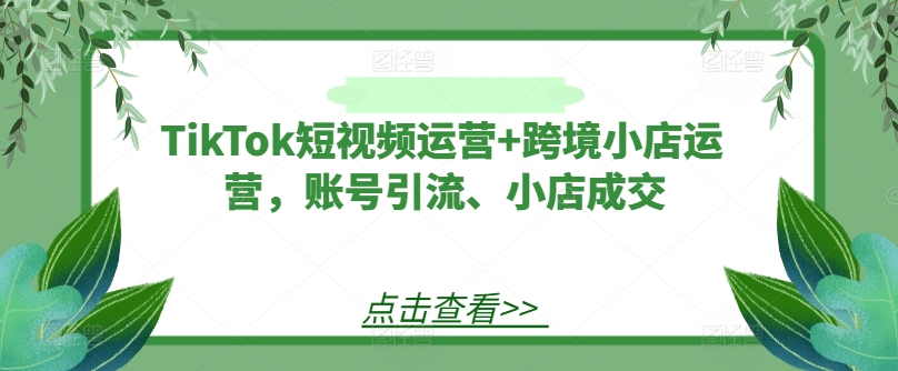 TikTok短视频运营+跨境小店运营，账号引流、小店成交-泱泱学习社