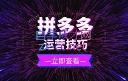 力辛电商·拼多多强付费店群玩法-泱泱学习社