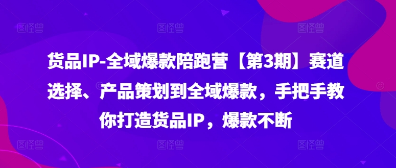 货品IP全域爆款陪跑营【第3期】赛道选择、产品策划到全域爆款，手把手教你打造货品IP，爆款不断-泱泱学习社