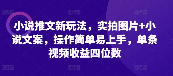 小说推文新玩法，实拍图片+小说文案，操作简单易上手，单条视频收益四位数-泱泱学习社