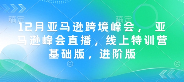 12月亚马逊跨境峰会， 亚马逊峰会直播，线上特训营基础版，进阶版-泱泱学习社