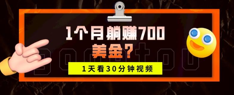 1天看30分钟视频，1个月躺赚700美金？-泱泱学习社