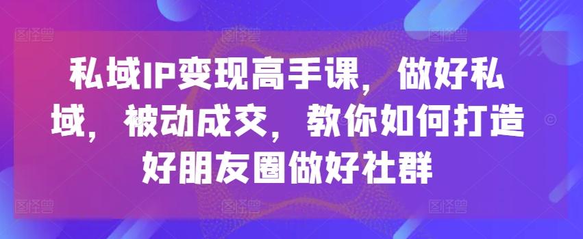 私域IP变现高手课，做好私域，被动成交，教你如何打造好朋友圈做好社群-泱泱学习社