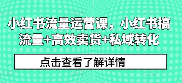 小红书流量运营课，小红书搞流量+高效卖货+私域转化-泱泱学习社