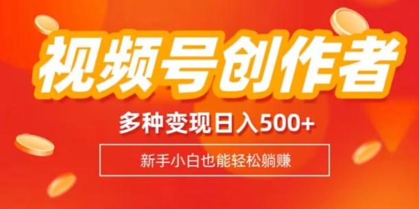 视频号创作者计划，多种变现方式，日入500+【内附1080g视频素材】-泱泱学习社
