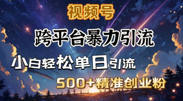 跨平台暴力引流，私域完美闭环，日引500+精准创业粉-泱泱学习社