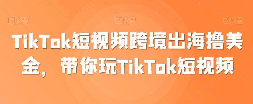 TikTok短视频跨境出海撸美金，带你玩TikTok短视频-泱泱学习社