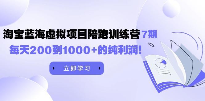 (9541期)黄岛主《淘宝蓝海虚拟项目陪跑训练营7期》每天200到1000+的纯利润-泱泱学习社