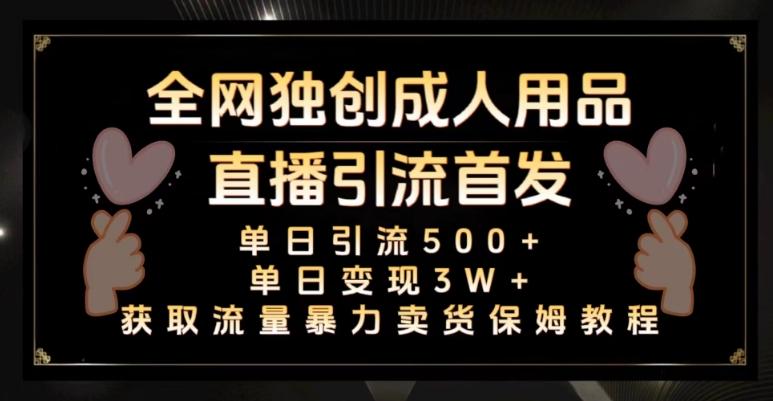 全网独创真人主播+无人直播单日引流500+，橙人用品暴力卖货单日变现3W+保姆似教学2.0【揭秘】-泱泱学习社