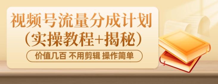 价值几百上千不用剪辑简单操作视频号流量分成计划（实操教程+揭秘）-泱泱学习社