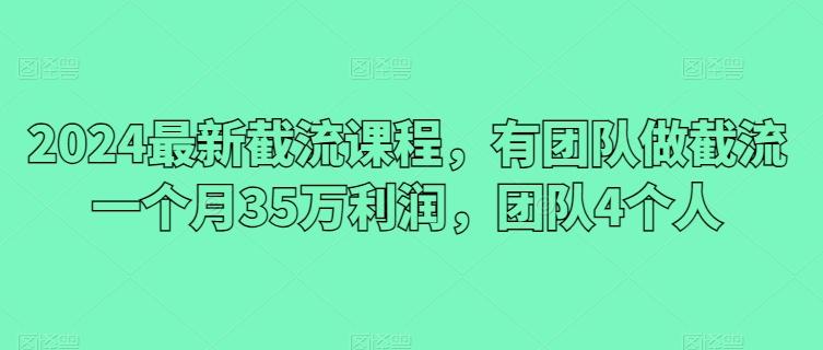 2024最新截流课程，有团队做截流一个月35万利润，团队4个人-泱泱学习社