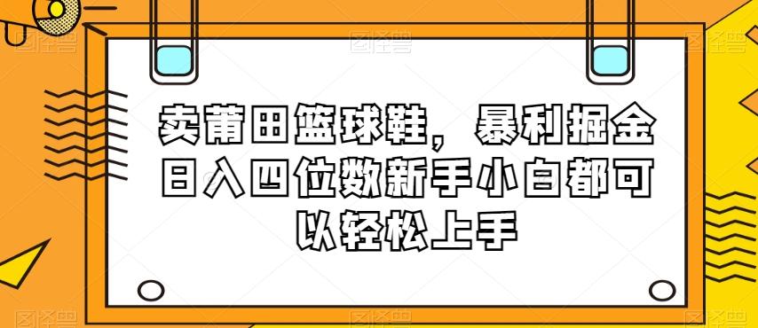 卖莆田篮球鞋，暴利掘金日入四位数新手小白都可以轻松上手【揭秘】-泱泱学习社