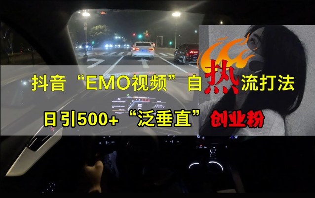 抖音EMO视频自热打法，日引500+“泛垂直”创业粉-泱泱学习社
