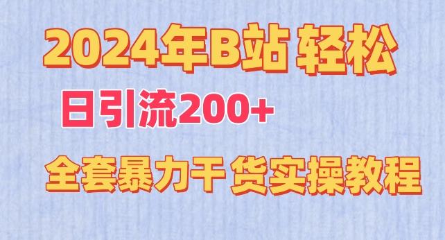 2024年B站轻松日引流200+的全套暴力干货实操教程【揭秘】-泱泱学习社