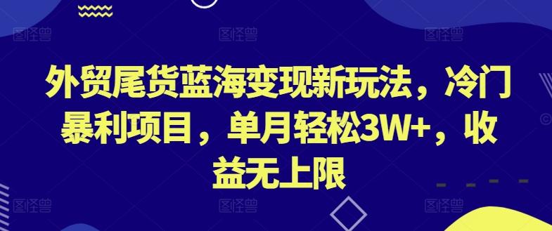 外贸尾货蓝海变现新玩法，冷门暴利项目，单月轻松3W+，收益无上限【揭秘】-泱泱学习社