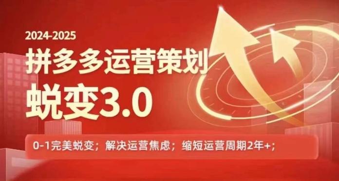 2024-2025拼多多运营策略蜕变3.0，0~1完美蜕变，解决信息焦虑-泱泱学习社