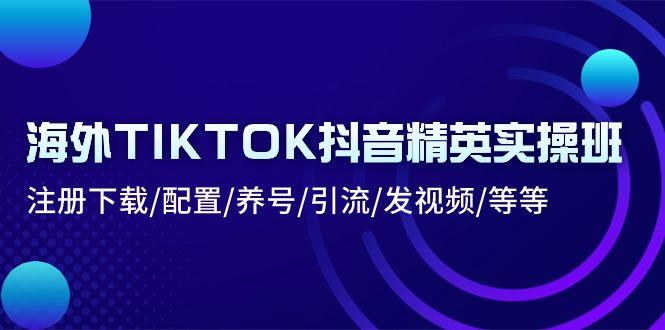 海外TIKTOK抖音精英实操班：注册下载/配置/养号/引流/发视频/等等-泱泱学习社