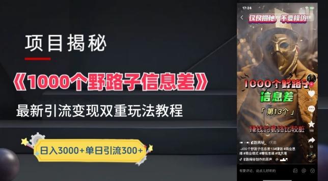 一千个野路子信息差最新玩法教程-变现+引流的玩法具体拆解【揭秘】-泱泱学习社