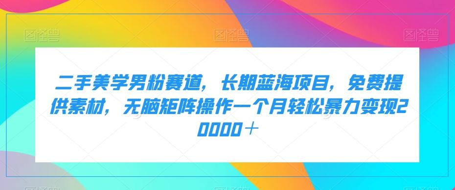 二手美学男粉赛道，长期蓝海项目，无脑矩阵操作一个月轻松暴力变现20000＋-泱泱学习社