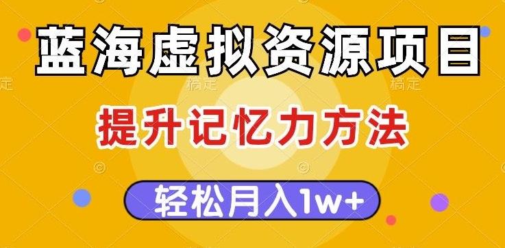 蓝海虚拟资源项目，提升记忆力方法，多种变现方式，轻松月入1w+【揭秘】-泱泱学习社