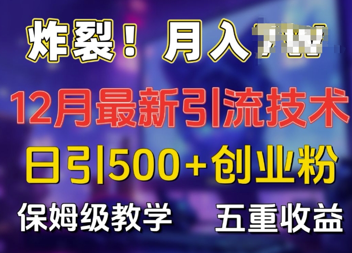 炸裂!揭秘12月最新日引流500+精准创业粉，多重收益保姆级教学-泱泱学习社