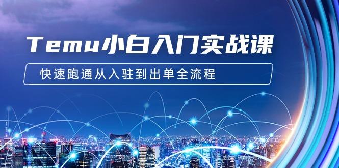 (9295期)Temu小白入门实战课：跨境拼多多电商培训 快速跑通从入驻到出单全流程-12节-泱泱学习社