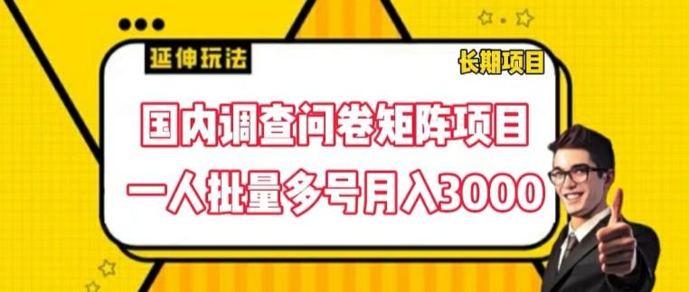 国内调查问卷矩阵项目，一人批量多号月入3000【揭秘】-泱泱学习社