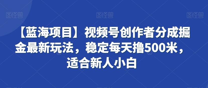 【蓝海项目】视频号创作者分成掘金最新玩法，稳定每天撸500米，适合新人小白【揭秘】-泱泱学习社